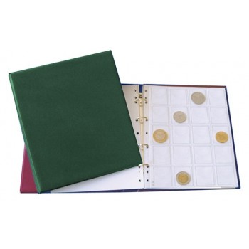 Raccoglitore Monete Medio