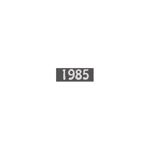 Italia Annata 1985
