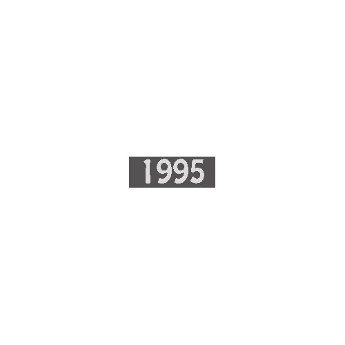 Italia Annata 1995