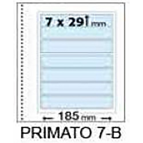 Fogli Primato 7B - Marini