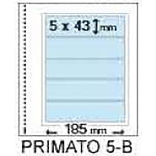 Fogli Primato 5B - Marini