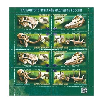 Russia 2020 - Paleontologia