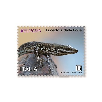 Italia 2021 - Europa 2021, 2 v.