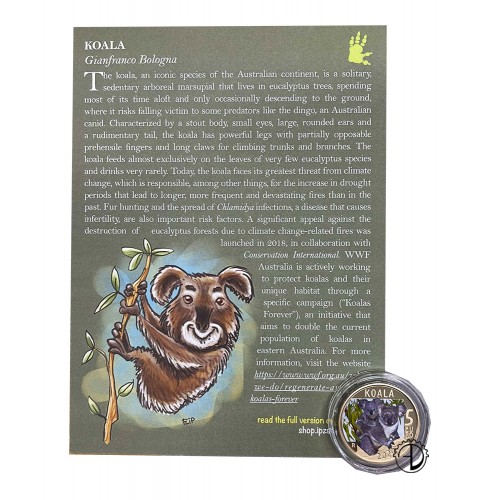 Italia - 2024 - 5€ Koala