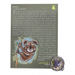 Italia - 2024 - 5€ Koala
