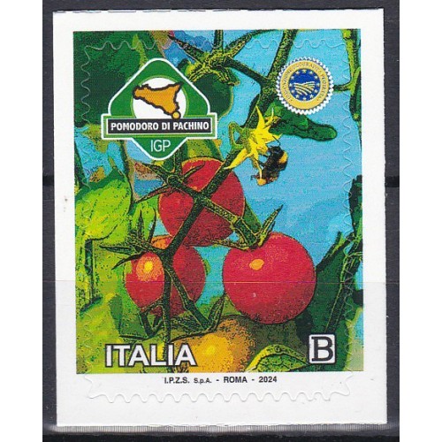 Italia 2024 - Pomodoro di Pachino